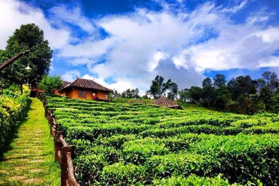 Để đến được Ban Rak Thai từ Việt Nam, bạn phải đặt vé đến Chang Rai và transit bay đến Mae Hong Son, từ đó khoảng 44km bằng ô tô là bạn đã hoàn toàn có thể tận hưởng trọn vẹn vẻ đẹp của ngôi làng phía Bắc Thái Lan.