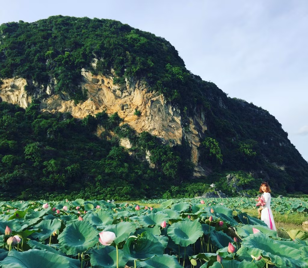 Trước đây đầm sen này là vùng đất trũng, chỉ dùng để trồng lúa. Vài năm trở lại đây, các hộ dân ở đây đã quyết định chuyển qua trồng hoa sen vì nhận thấy trồng loại hoa này vừa không lãng phí nguồn đất mà lại còn trở thành địa điểm để người dân tới tham quan.