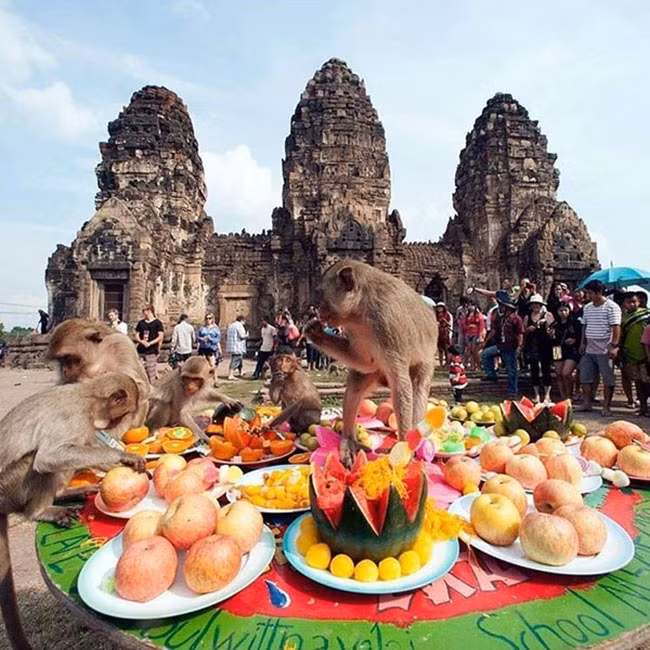 Lễ hội buffet của khỉ, Thái Lan: Khi đến với khu phố cổ của Lopburi, Thái Lan, bạn sẽ được chiêm ngưỡng lễ hội buffet của khỉ rất thú vị. Tháng 11 hằng năm, hàng nghìn con khỉ sẽ đến dự tiệc buffet với 4.000 kg các món ăn Thái khác nhau được xếp đầy gần đền Khmer.