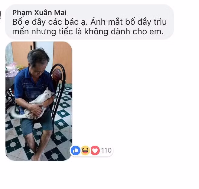 Cụ thể, vừa qua trên fanpage dành cho những người yêu động vật, các bạn trẻ đã đăng tải những bức hình mà bố, mẹ trong đó có cả ông bà ôm ấp mèo với tình cảm và sự trìu mến, kèm với đó là những dòng tâm sự đầy ghen tỵ của họ với vật nuôi trong nhà.