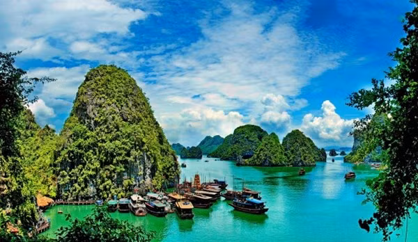Peter viết rằng, việc ngắm nhìn vịnh Hạ Long trên con thuyền, len lỏi qua những hòn đảo nhỏ và các tảng đá vôi sừng sững là trải nghiệm nên đưa lên hàng đầu với bất cứ ai đến thăm Việt Nam.