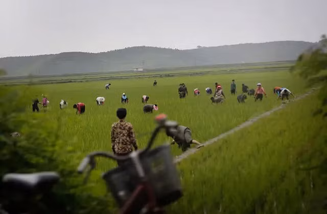 He mo cuoc song bi an cua nguoi lao dong Trieu Tien-Hinh-3