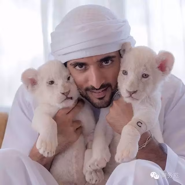 Hamdan bin Mohammed bin Rashid al Maktoum được biết đến là hoàng tử 8X điển trai nổi tiếng thế giới của các tiểu Vương quốc Ả Rập thống nhất. Chàng hoàng tử sinh ngày 13/11/1982 này là một trong những dòng dõi hoàng gia hoàn hảo cả về tri thức lẫn ngoại hình.