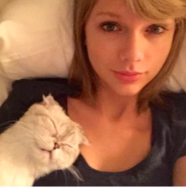 Đứng ở vị trí thứ 9 là tấm hình của Taylor Swift cùng chú mèo cưng - Meredith - với 2,2 triệu like (thích). Bức ảnh này từng được nhắc đến trong chương trình The Ellen Degeneres Show nổi tiếng.