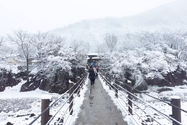 Để vào làng cổ Shirakawa-go, bạn cần đi qua cây cầu bắc qua một con suối nhỏ. Mùa đông, dòng suối nhỏ dưới chân cầu đóng băng hoàn toàn và nhìn cảnh tượng trắng xóa hai bên cầu vô cùng đẹp.