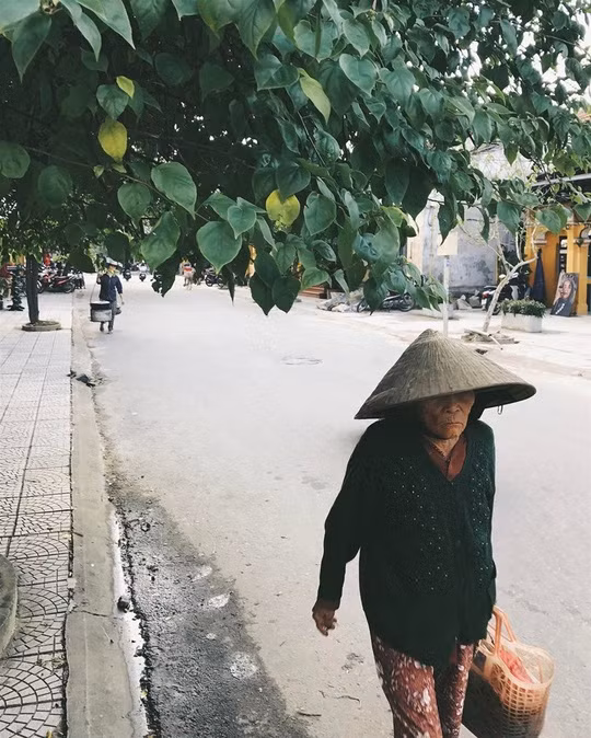 Tiếp đến là Ninh Bình với một cố đô Hoa Lư lặng lẽ và thanh bình. Cũng là mê cung núi nhưng trên cạn, chú dê núi, những đám ruộng trơ gốc rạ, hệ thống hang động nằm ẩn mình bên dưới những hòn núi nhỏ... tất cả làm nên một Ninh Bình mộc mạc giản dị nhưng cũng không kém phần quyến rũ và bí ẩn.