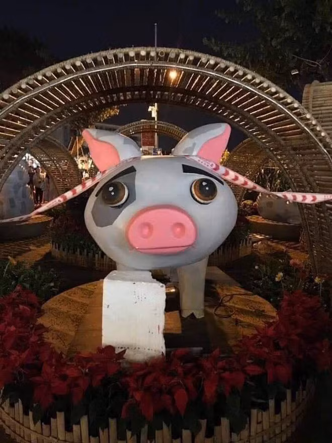 Tết 2019 theo âm lịch sẽ là năm Kỷ Hợi vì vậy, những chú heo mô hình đã được dựng lên và biểu cảm của những chú linh vật này đã được dân mạng ghi lại.