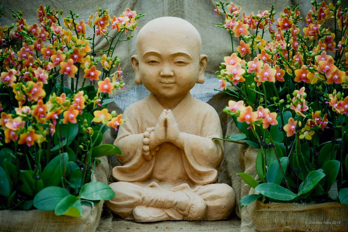 Ngoài tham quan vườn hoa, các hoạt động như ca nhạc nghệ thuật dân tộc, trình diễn áo dài, nghệ thuật trà đạo, nghệ thuật cắm hoa... cũng sẽ diễn ra liên tục mỗi ngày tại sân khấu chính và một số không gian bên trong lễ hội.