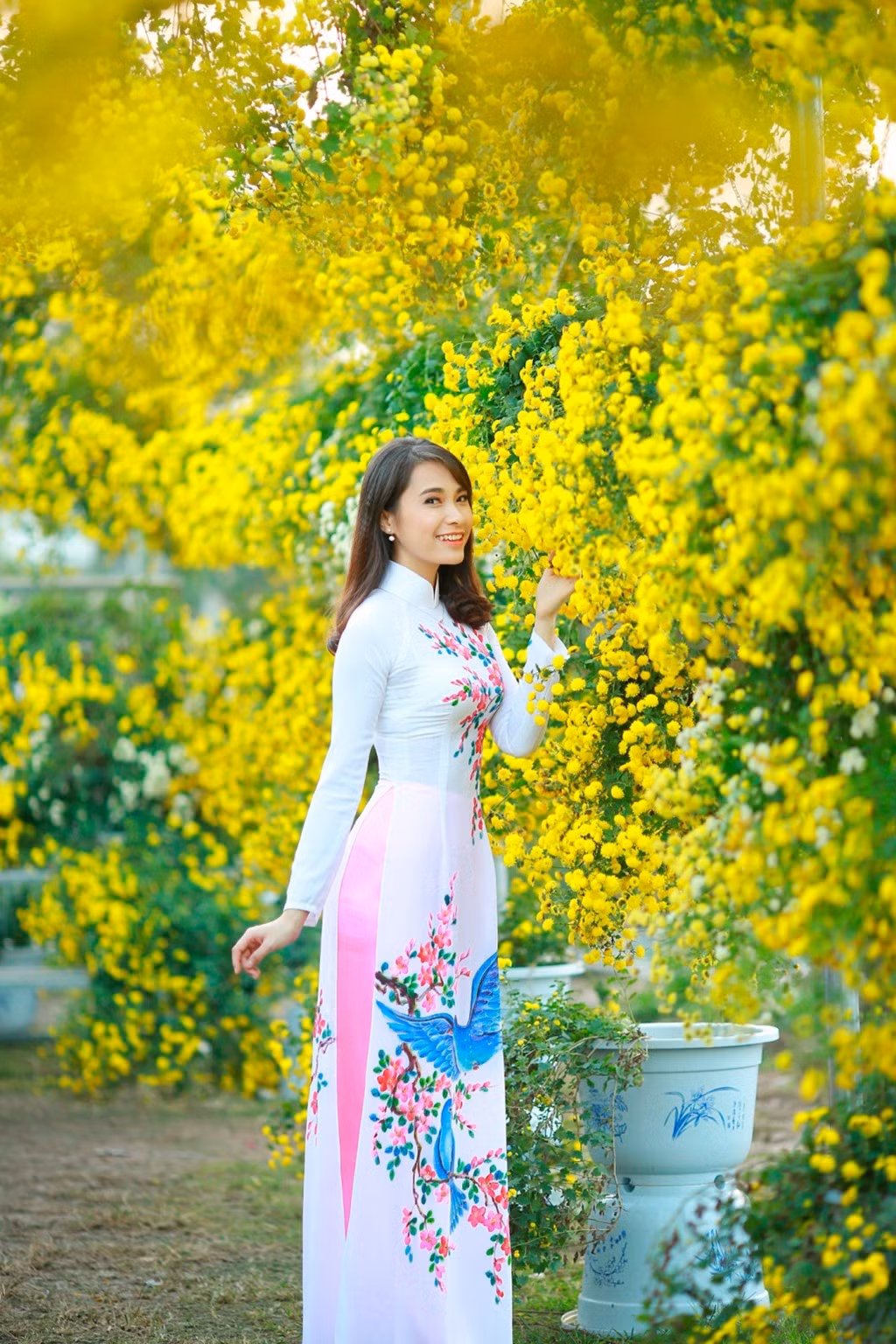 Và khu chụp ảnh còn có rất nhiều các loại hoa khác tượng trưng cho mùa xuân.