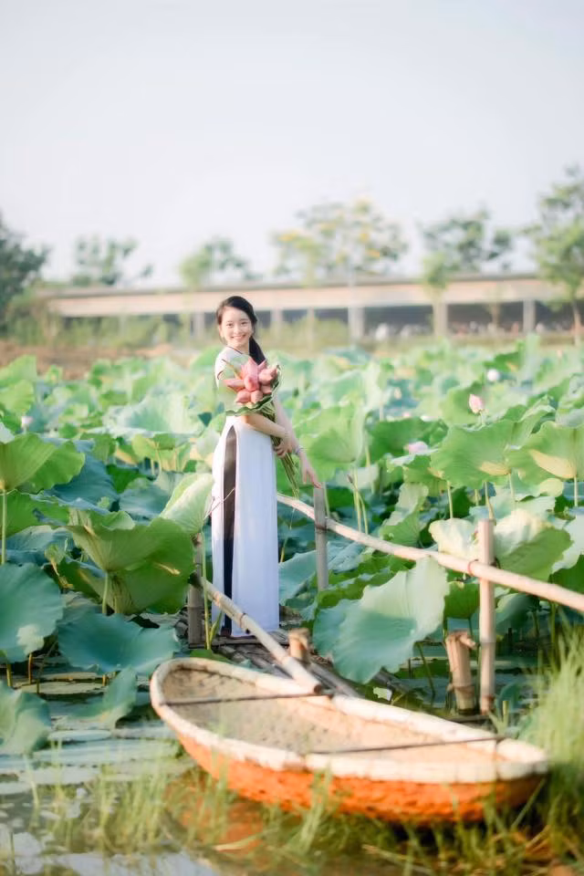 Hồ sen trường ĐH FPT khá rộng, nằm tại cơ sở Hòa Lạc (cách trung tâm TP khoảng 30km). Những ngày đầu tháng 6, đầm sen này nở rộ. Mỗi ngày, nơi đây đều thu hút nhiều bạn trẻ, các cặp đôi yêu nhau tới chụp ảnh check-in.