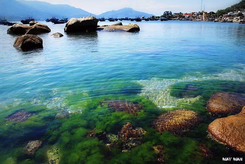 Ngoài Nha Trang, đảo Tam Bình (Bình Ba, Bình Lập, Bình Hưng) là địa điểm du lịch tại Khánh Hòa được giới trẻ Việt vô cùng chú ý.