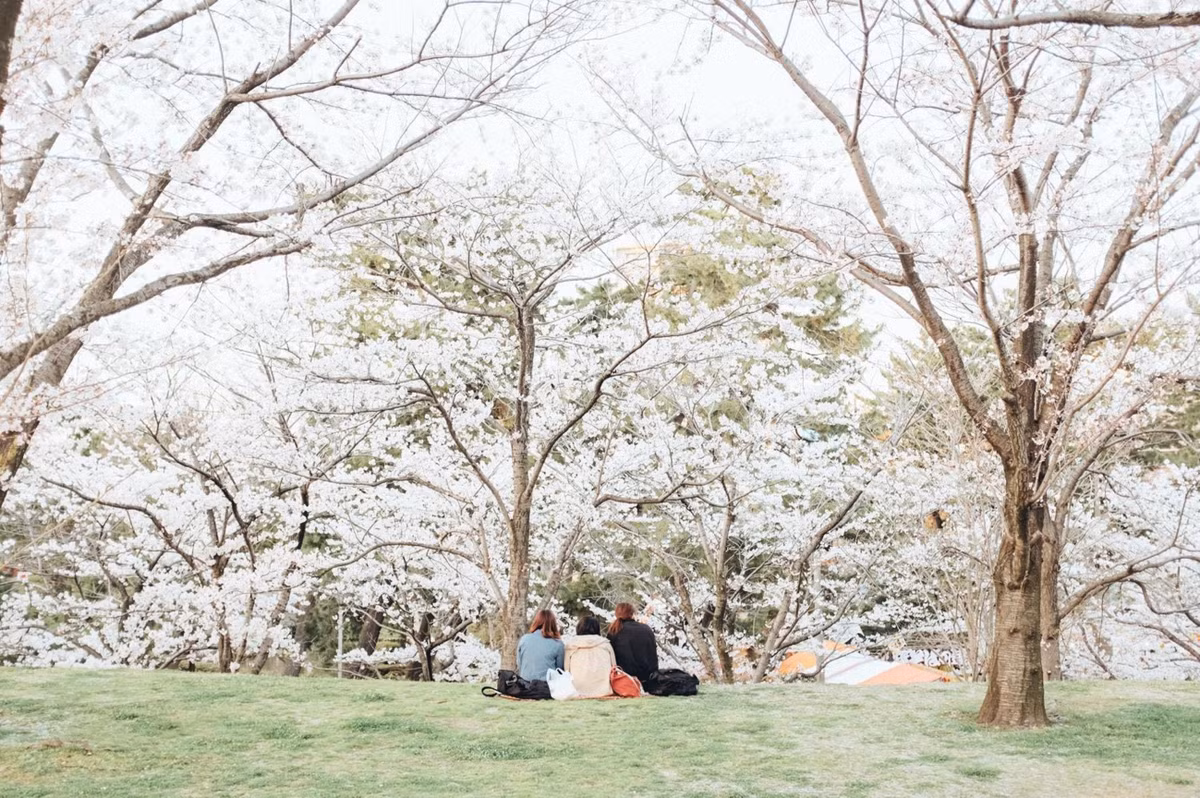 Ảnh: FB Lạc