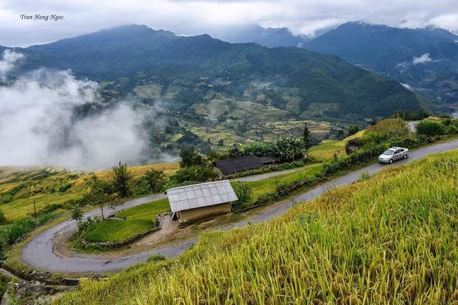 Thế nhưng vì cái đẹp của những thửa ruộng bậc thang với lúa chín vàng óng ở Y Tý, mọi mệt mỏi của dân phượt dường như được xóa bỏ. Ảnh: Tran Hong Ngoc.