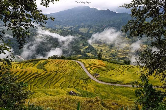 Không giống như ruộng bậc thang ở những nơi khác, đến Y Tý bạn có thể bất chợt bắt gặp những biển mây tràn trên ruộng. Ảnh: Meogiaphoto.