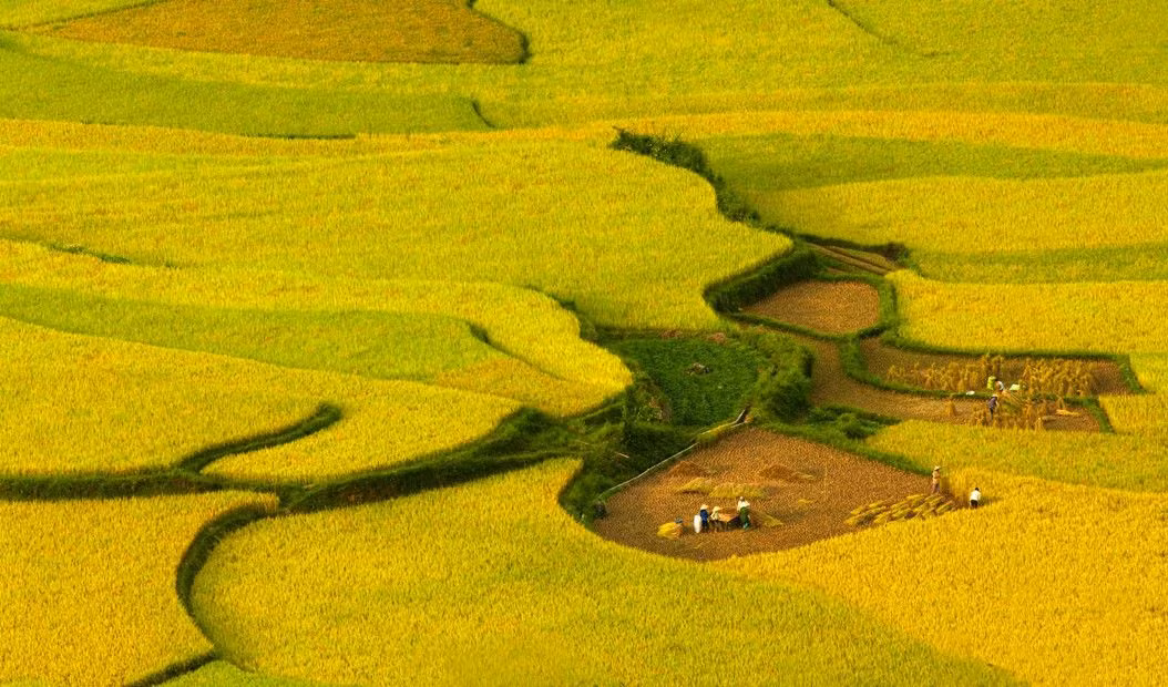 Đứng từ trên cao nhìn xuống, vẻ đẹp mộc mạc, hùng vĩ của Y Tý sẽ khiến bạn thấy mình trở nên nhỏ bé hơn bao giờ hết trước đất trời Tây Bắc.