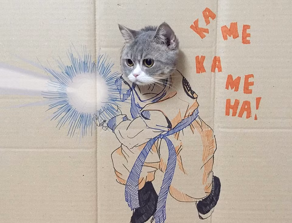 Chú mèo chịu hợp tác để hóa thân thành nhân vật Songoku phiên bản "meo meo".