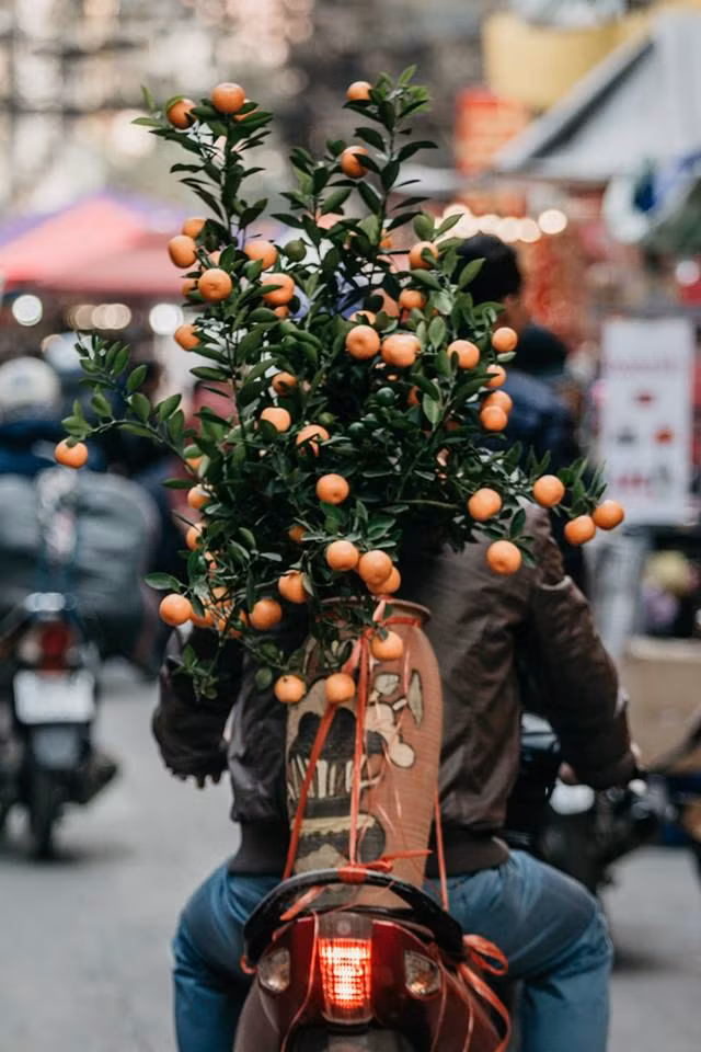 Theo thời gian, không chỉ mỗi hoa, chợ phiên Hàng Lược "du nhập" thêm nhiều mặt hàng, quy mô cũng được mở rộng. Chính sự khác biệt này khiến phiên chợ có phần ồn ào và xô bồ hơn trước.