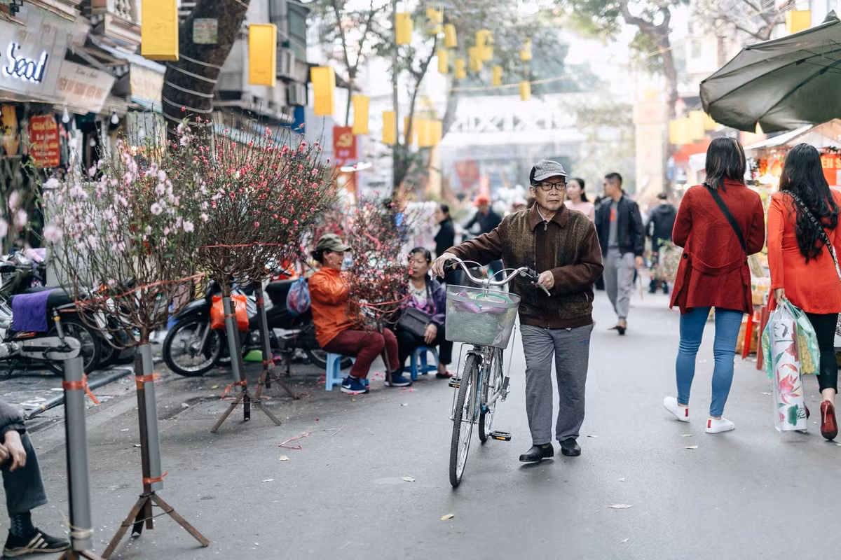 Đã có thời, chợ hoa Hàng Lược là nơi tập trung những bông hoa tươi, những cành đào, quất đẹp nhất Hà Nội, từ những làng hoa có tiếng như Ngọc Hà, Tứ Liên, Nghi Tàm, Nhật Tân, Quảng Bá…