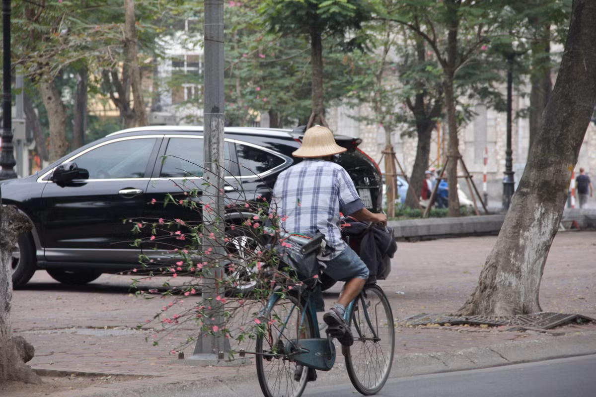 Một người dân nghèo với cành đào buộc sau xe vội vã trở về sum họp cùng gia đình.