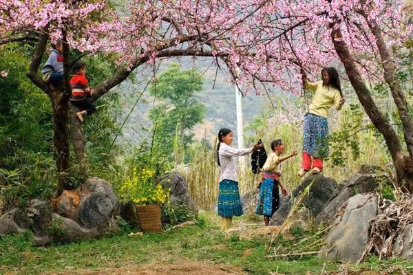 Thăm thú khuôn vườn hoa mộng ngay sau lưng nhà cũng là một cảm giác vô cùng thú vị cho du khách khi đến du lịch Mộc Châu và chọn nơi ở là resort thiết kế từ thùng container.