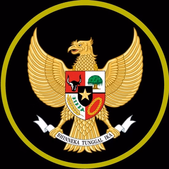 Indonesia cũng đã có thời kỳ hoàng kim và vang danh tại các giải VĐ bóng đá ĐNA với biệt hiệu Những chú chim ưng Garuda.