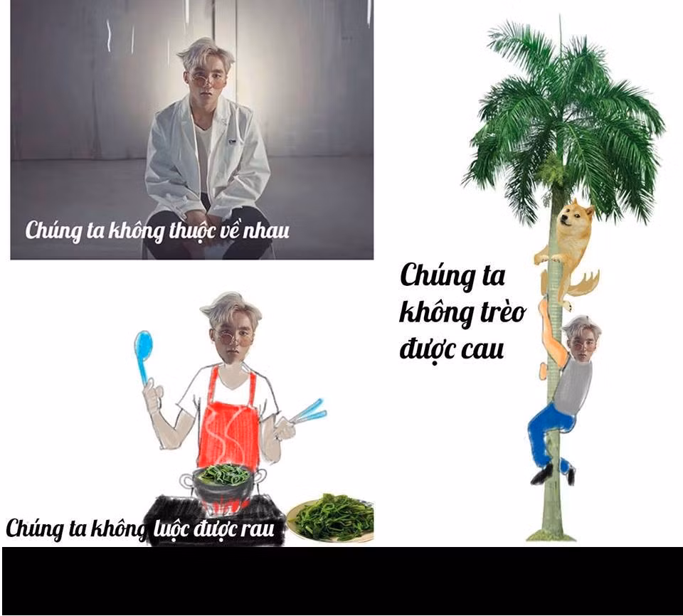 "Chúng ta không thuộc về nhau" của Sơn Tùng là bài hát bị nhiều người cho rằng đã đạo nhạc của ca khúc đình đám We don't talk anymore" của Charlie Puth. Cũng từ đây dân mạng đã rộ lên trào lưu chế ảnh liên bản đến quan đến tiêu đề bài hát này.Ngoài ra, "Chúng ta không thuộc về nhau" cũng trở thành câu "cửa miệng" của dân mạng, xuất hiện với tần suất dày đặc trên mạng xã hội ám chỉ sự không đến được với nhau của các cặp đôi.