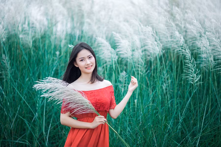  Bãi cỏ lau ở Thanh Chương rộng hơn nhiều lần ở Nam Đàn và cảnh sắc nơi đây cũng khiến nhiều bạn trẻ phải phát mê bởi quá đẹp.