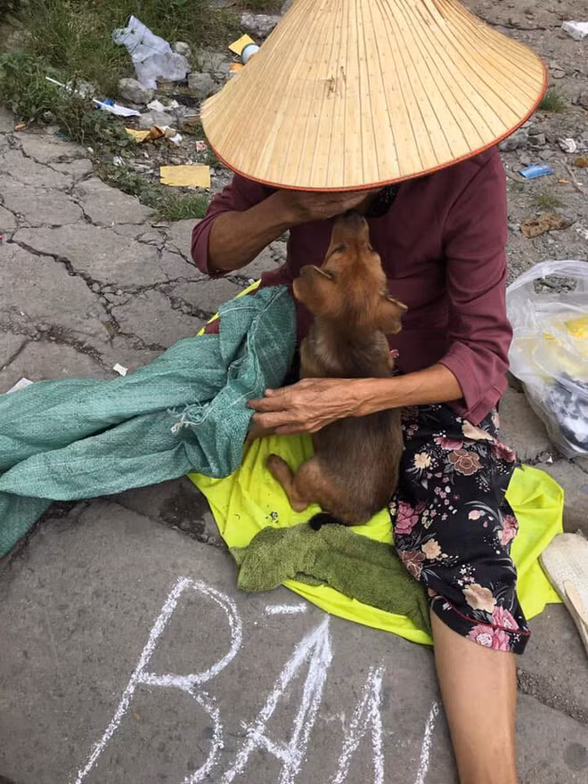 Một số người cũng tha thiết muốn xin thông tin bà lão và bạn chủ mua chó để có thể chuộc lại tặng bà lão và giúp đỡ chữa bệnh cho bà. "Mình là đàn ông mà rơm rớm nước mắt, thương quá là thường. Bà có con chó bầu bạn mà giờ cũng bán đi luôn rồi, tội nghiệp quá" nickname Toàn Thắng chia sẻ.