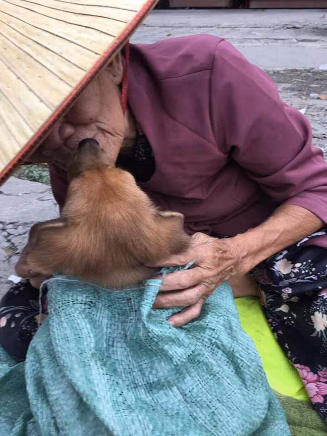 Thậm chí, nhiều người đã không kìm được nước mắt trước hoàn cảnh của bà lão và thầm mong chú chó sẽ có chủ mới tốt, mong bà mau khỏe bệnh, sống thật lâu.