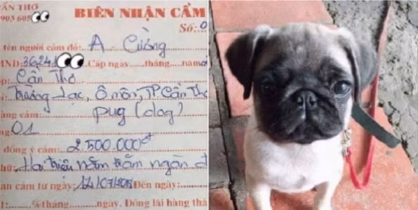 Thu cung bi mang di cam ca nam khong chuoc, chu tiem cam do than troi