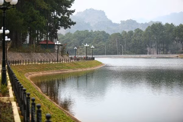 Tới thung lũng Bản Áng, bạn có thể cắm trại giữa rừng thông, hoặc thuê xe đạp đôi tham quan quanh khu rừng, đi dạo ven hồ hay đạp vịt để tận hưởng không khí trong lành. Ảnh: Dpdpanda.