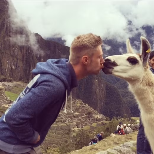 Kết bạn với những người bạn đặc biệt ở Machu Picchu