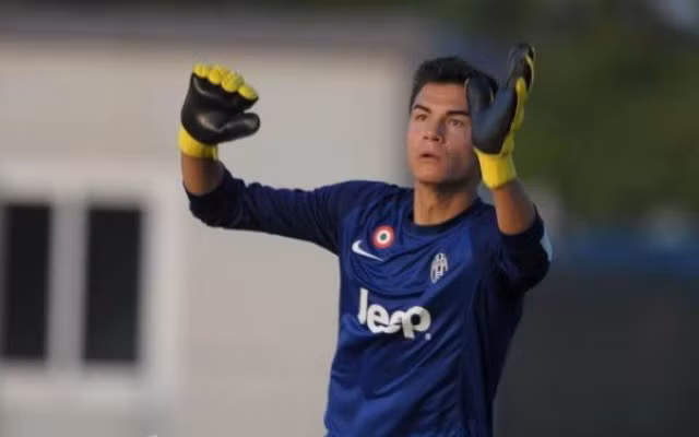 Emil Audero Mulyadi có mẹ là một công dân Italy và cha là người mang dòng máu Indonesia. Mulyadi đã có 8 năm trong màu áo của đội trẻ Juventus. Mùa giải 2015/2016, Mulyadi được đôn lên đội một của Juve để làm thủ môn dự bị cho đàn anh Buffon. Mulyadi cũng từng xuất hiện trong nhiều cấp độ ĐT trẻ của Italy tham dự nhiều giải đấu quan trọng của thế giới.