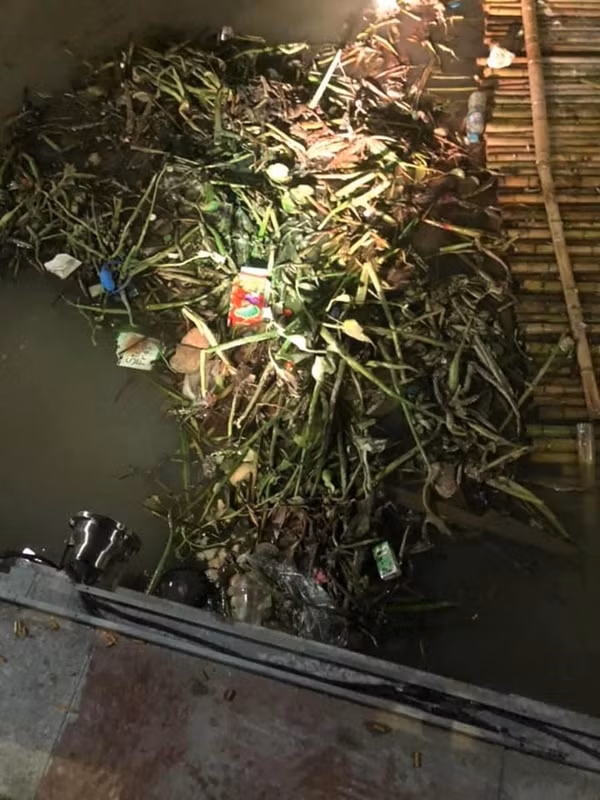 Mặc dù thực hư bức ảnh và nguyên nhân gây ra tình trạng trên chưa được xác thực nhưng đa phần mọi người đều bày tỏ sự phẫn nộ và lên án mạnh mẽ tình trạng xả rác thải ra sông Tam Bạc.