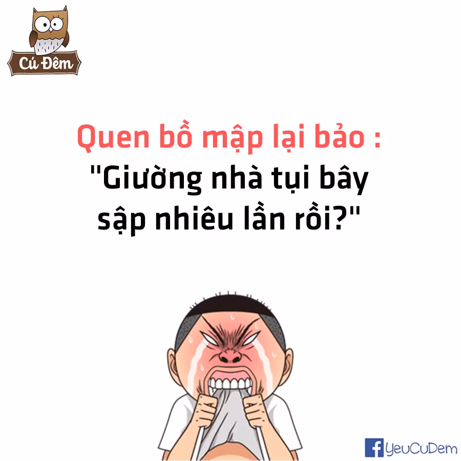 Chung quy lại, những người béo đã khổ nhưng miệng lưỡi bạn bè cũng không buông tha. Ảnh trong bài: Facebook Yêu cú đêm.