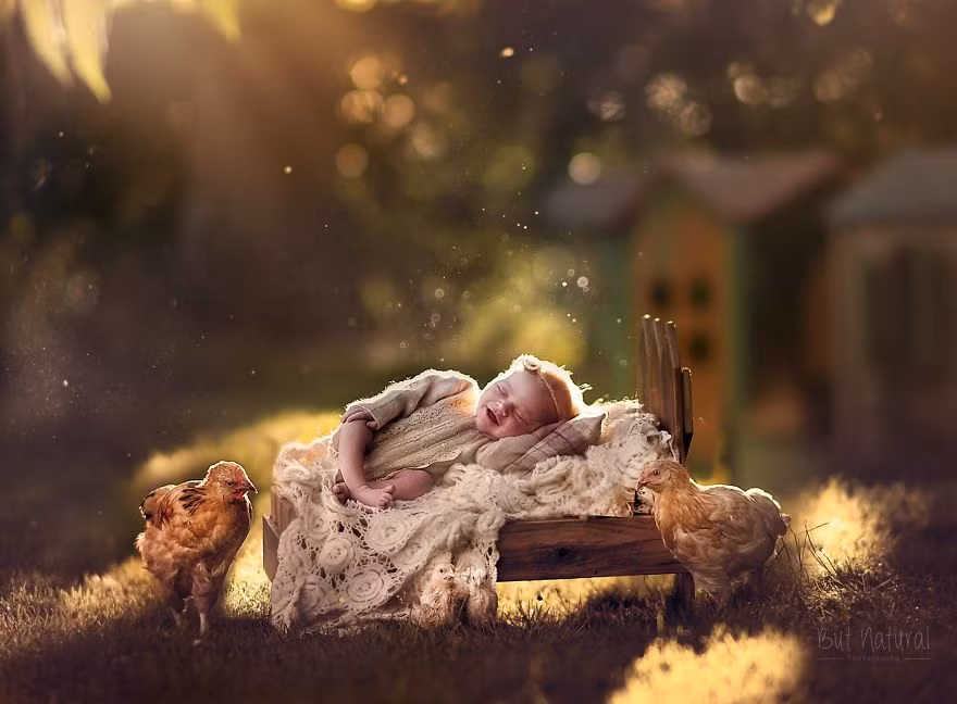 Chú chó từng là người bạn thân thiết của rất nhiều em bé bởi trong các bức hình chụp cho khách hàng (là bố mẹ của các bé sơ sinh), họ rất thích con cái họ chụp với chú chó đáng yêu Mustag.