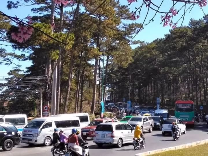 Tuy nhiên, lượng người đổ về Đà Lạt du lịch vào dịp Tết khiến các nhà nghỉ tại khu vực này cháy phòng và các chủ cơ sở lưu trú được dịp tăng giá.