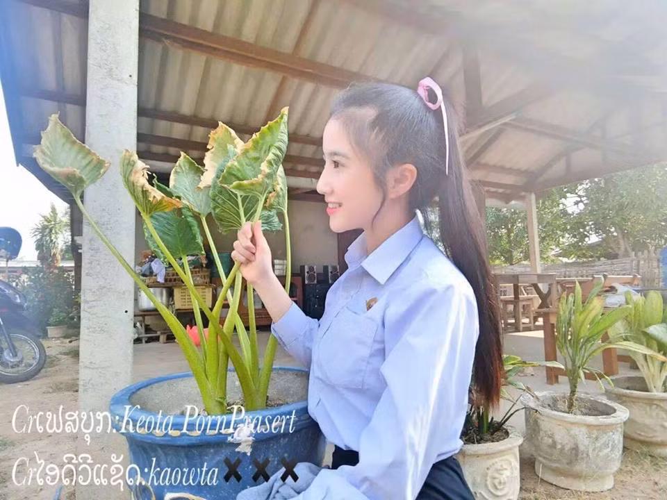 Cũng chính nhờ sở hữu nhan sắc "hoa hờn, nguyệt thẹn" hot girl Lào xinh đẹp này kiếm được một số tiền không nhỏ từ công việc làm người mẫu quảng cáo, mà đặc biệt là cho các shop hàng online trên mạng tại xứ Triệu Voi.