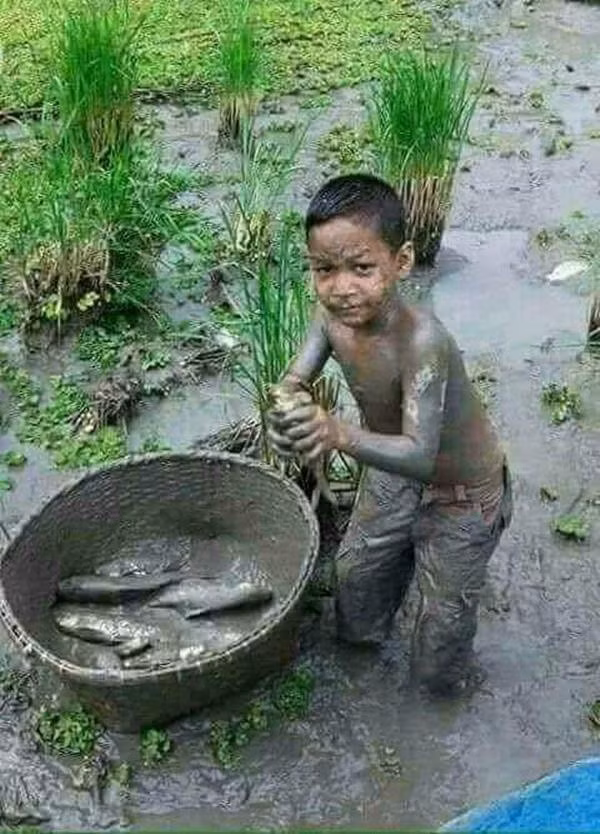Tuổi thơ là những buổi chiều đi ra đồng bắt cá để về cải thiện bữa cơm cho gia đình hay chỉ đơn thuần là nướng cá tổ chức bữa ăn với chúng bạn.