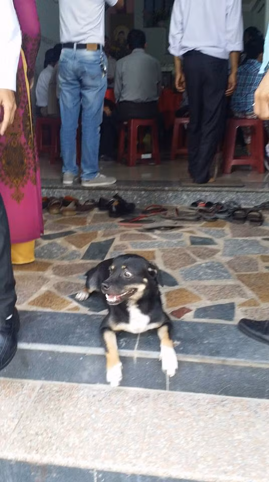 Công việc cưới xin mệt quá, ra ngoài nằm chút cho thư giãn.
