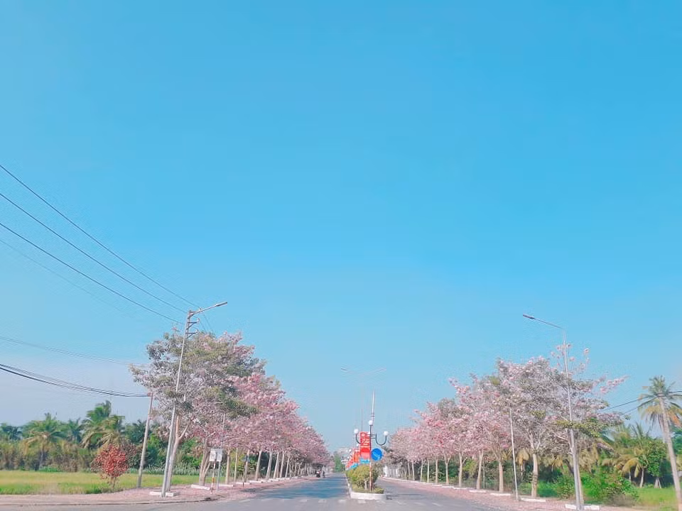 Mỗi ngày có hàng trăm người, trong đó đông nhất vẫn là các bạn trẻ đến chụp hình làm kỷ niệm. Có những cặp đôi chuẩn bị kết hôn cũng tranh thủ đến đây lưu giữ khoảnh khắc đẹp.