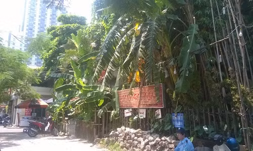 Dich sot xuat huyet bung phat o HN: Nguoi lo lang, ke hung ho