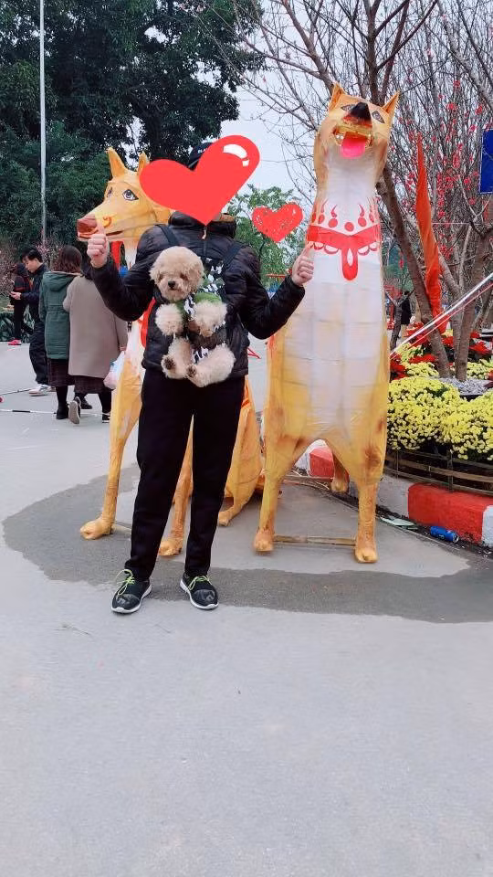 Sau Pika Long lại đến Pika Cẩu phiên bản kì quái.