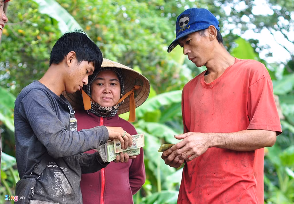 Nông dân Lục A Nhì (40 tuổi, đội mũ xanh) nhận 500.000 đồng từ chủ vựa thu mua sau khi bán 100 kg chuối.