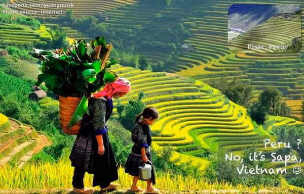 Quang Quick hiện đang là sinh viên trường Đại học Bách Khoa Hà Nội. Với đam mê nhiếp ảnh, chàng trai này đã đi đến rất nhiều địa điểm nổi tiếng tại Việt Nam để thực hiện những bức ảnh để đời.