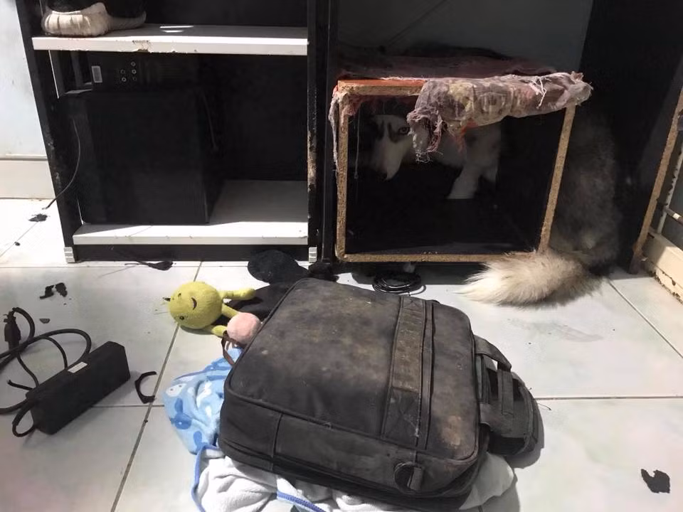 Nickname Minh Chí chia sẻ: " Do hồi bé không dậy kĩ. Rồi nuôi mấy đứa với nhau chúng nó càng quậy. Con nhà mình dậy kĩ từ nhỏ ngoan ghê lắm. Tranh mình vẽ để dưới đất đi còn nhón chân vòng vòng qua hoặc không dám đi qua luôn. Chỉ là tờ giấy thôi đấy còn giấy bình thường vẫn đi qua".