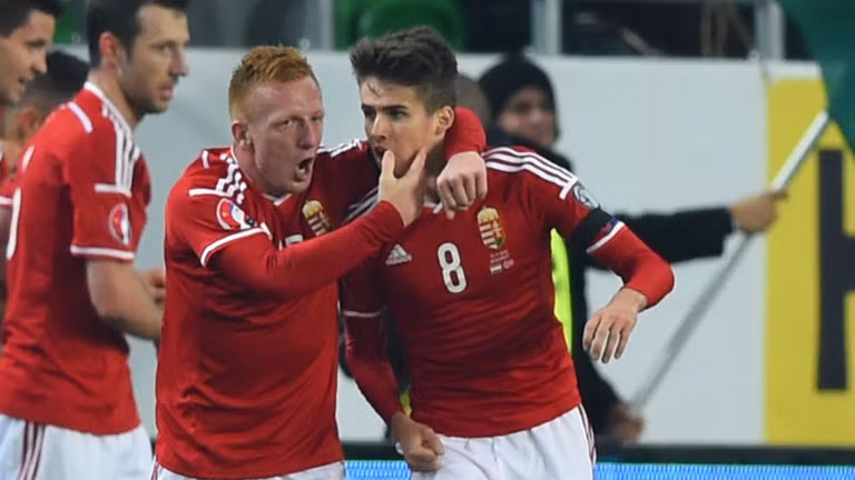 Euro 2016 Iceland - Hungary: Canh cua vong loai mo rong