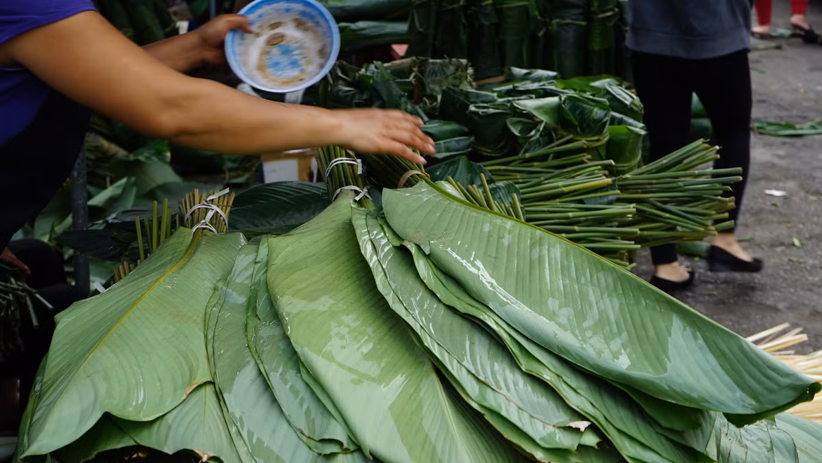 Vào những năm trước, số lượng lá dong xuất đi từ khu chợ này có thể lên tới hàng chục vạn bó mỗi ngày. Tuy nhiên hiện nay dù đã qua 25 tháng Chạp nhưng tình hình buôn bán vẫn khá chậm chạp.