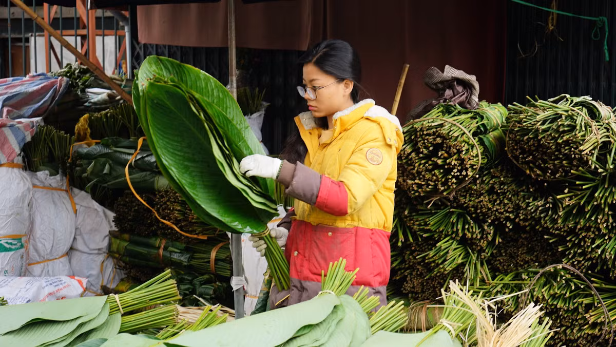 Chợ lá dong Hà Nội trên đường Trần Quý Cáp, ngay cạnh cổng ga Hà Nội đã tồn tại từ rất lâu, nơi đây vốn là địa chỉ cung cấp lá dong cho rất nhiều khu vực nội thành và những địa phương lân cận Hà Nội.