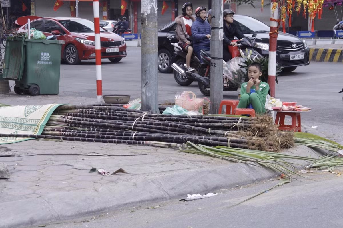 Việc trang trí ruy-băng đỏ vào giữa phần thân và ngọn mía giúp đẹp về hình thức và mang nhiều ý nghĩa may mắn.